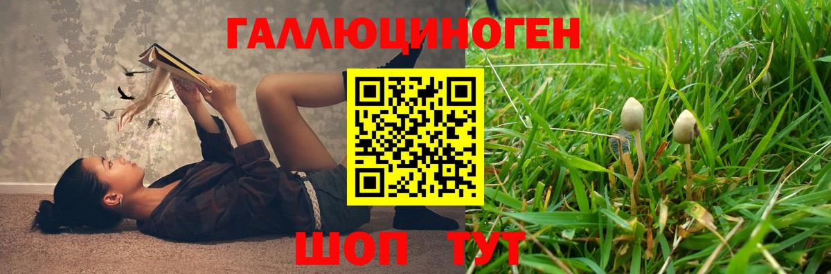 Галлюциногенные грибы Psilocybine cubensis  где купить наркотик  Чехов  Вход с VPN 